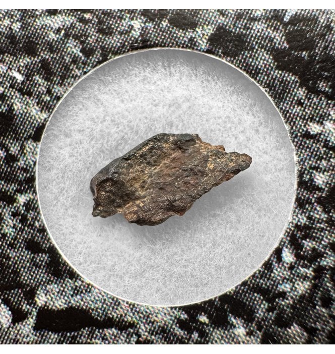 Evidence of Panspermia? <0.001g CV3 Carbonaceous Chondrite Meteorite Fragment (SKU M2541)