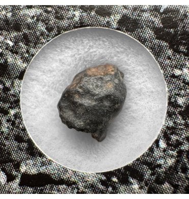 Evidence of Panspermia? <0.001g CV3 Carbonaceous Chondrite Meteorite Fragment (SKU M2534)