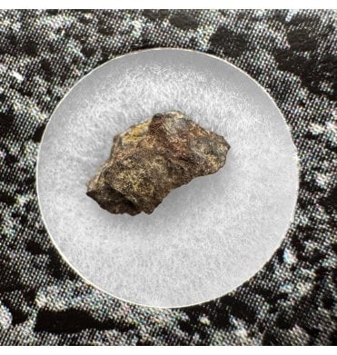 Evidence of Panspermia? <0.001g CV3 Carbonaceous Chondrite Meteorite Fragment (SKU M2538)