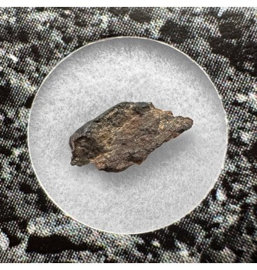 Evidence of Panspermia? <0.001g CV3 Carbonaceous Chondrite Meteorite Fragment (SKU M2541)