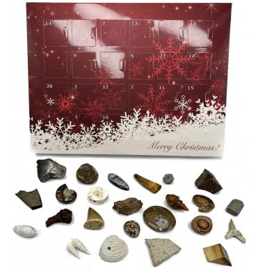Fossil Advent Calendar Containing 24 Fossil Specimens from Around the World (SKU G85)