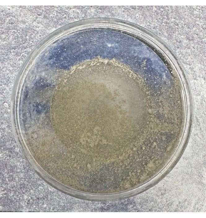 Genuine Moon Dust (SKU M2285)