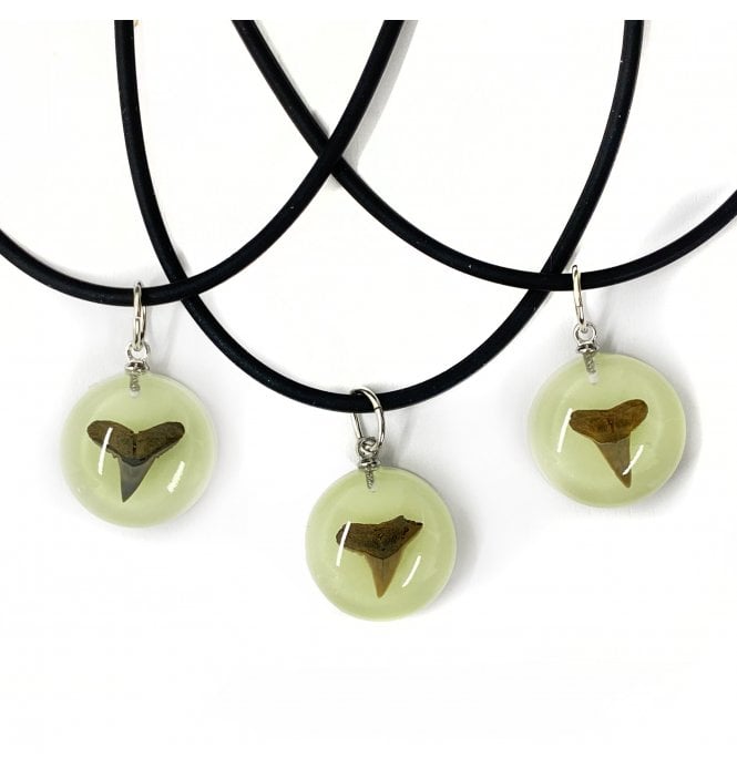 Glow In the Dark Eocene Shark Tooth Necklace (SKU G81)