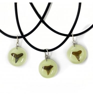 Glow In the Dark Eocene Shark Tooth Necklace (SKU G81)
