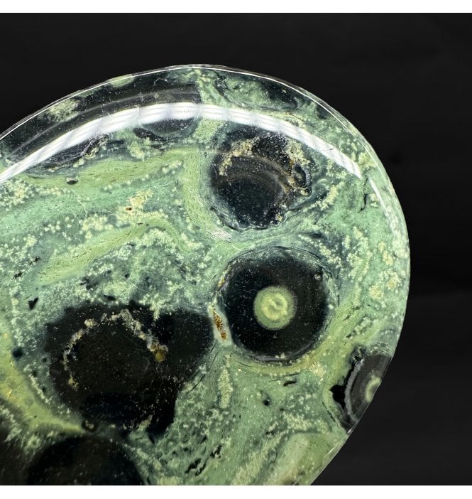Kambaba Jasper Palmstone (SKU R1609)