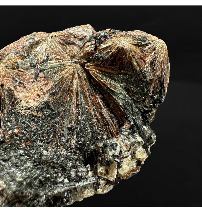 Lamprophyllite (SKU R1572)