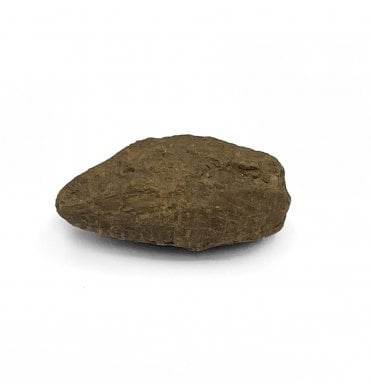 Late Cretaceous Insect Casing from Hell Creek Formation, USA (SKU OF2625)