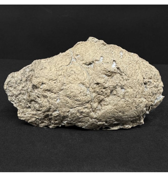 Lower Lias, Lower Jurassic, Ichthyosaur Coprolite from Charmouth, Dorset, England (SKU V8964):- Ichthyosaurus Coprolite