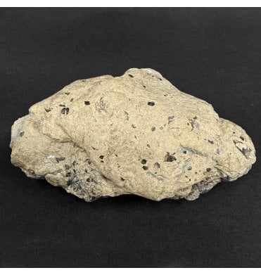 Lower Lias, Lower Jurassic, Ichthyosaur Coprolite from Charmouth, Dorset, England (SKU V9059):- Ichthyosaurus Coprolite