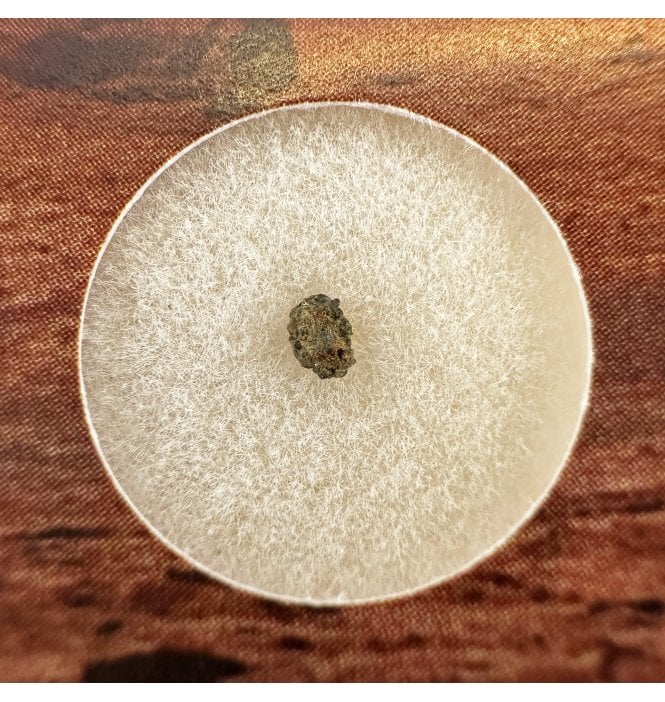 Martian Nakhlite Meteorite NWA 15200 Martian Meteorite (SKU M2119)