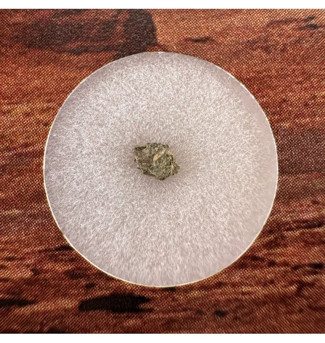 Martian Nakhlite Meteorite NWA 15200 Martian Meteorite (SKU M2366)