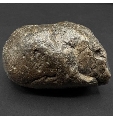 Miocene ‘Megalodon’ Shark Coprolite (Poo) from South Carolina, USA (SKU V8904):- Otodus (Carcharocles) megalodon