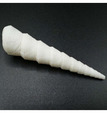 Pliocene Gastropod from France (SKU OF3063):- Turritella sp.