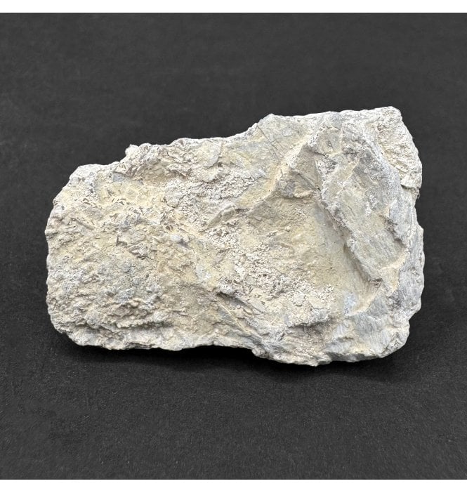 Pteranodon Pterosaur Bone from Kansas, USA (SKU V8671):- Pteranodon longiceps