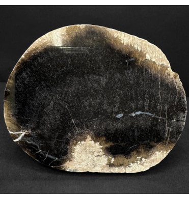 Rare British Purbeck, Upper Jurassic Fossil Wood from Portland, England (SKU OF4406):- Purbeck Fossil Wood