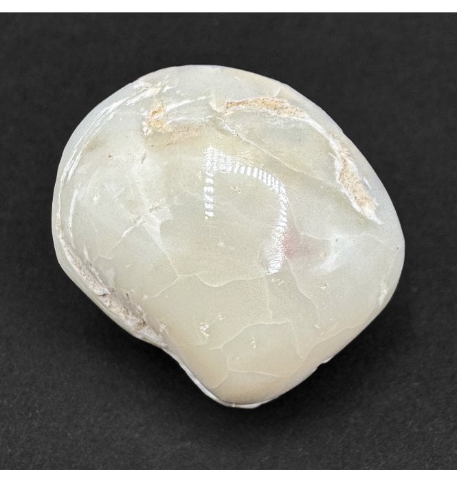 Rare Opalised Cretaceous Fossil Shell from Coober Pedy, South Australia (SKU OF4251):- Cyrenopsis meeki