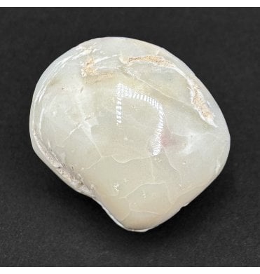 Rare Opalised Cretaceous Fossil Shell from Coober Pedy, South Australia (SKU OF4251):- Cyrenopsis meeki