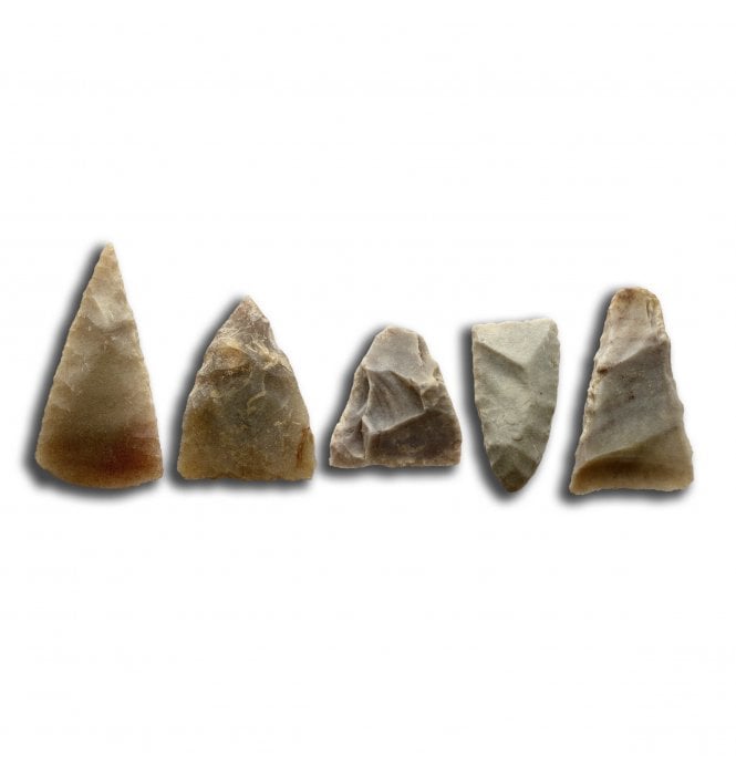 Set of 5 Neolithic Tenerean Culture Chisels found Sahara Desert, Niger, North Africa (SKU Tool-172)