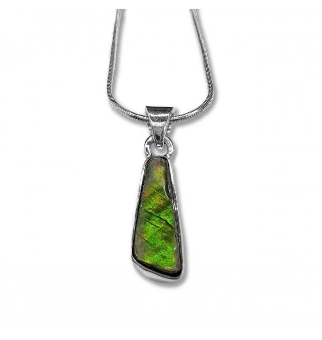 Sterling Silver Ammolite Pendant Necklace (SKU FOSSJ-110)