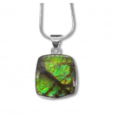 Sterling Silver Ammolite Pendant Necklace (SKU FOSSJ-113)