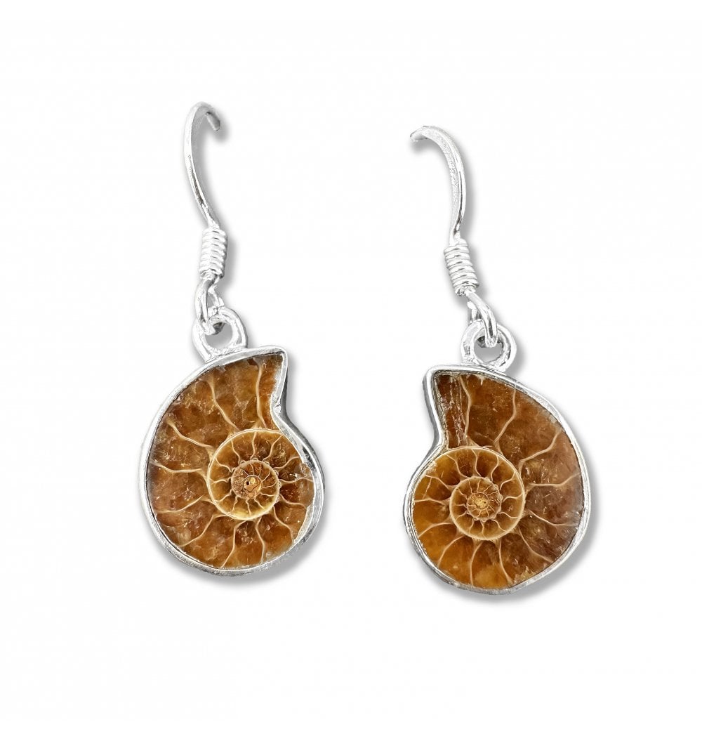 Fossils For Sale | Fossils-UK.com | Sterling Silver Ammonite Drop Earrings