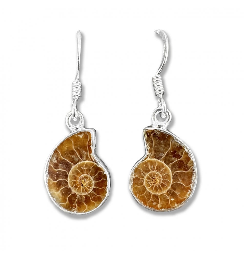 Fossils For Sale | Fossils-UK.com | Sterling Silver Ammonite Drop Earrings