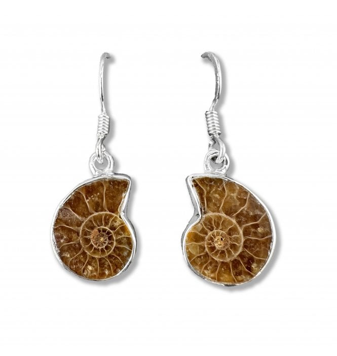 Sterling Silver Ammonite Drop Earrings (SKU FOSSJ-086)