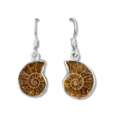 Sterling Silver Ammonite Drop Earrings (SKU FOSSJ-086)