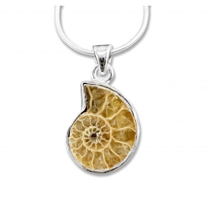 Sterling Silver Ammonite Pendant Necklace (SKU FOSSJ-087)