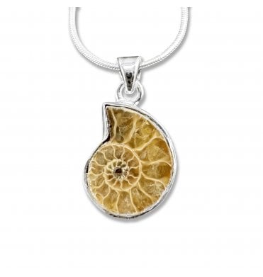 Sterling Silver Ammonite Pendant Necklace (SKU FOSSJ-087)