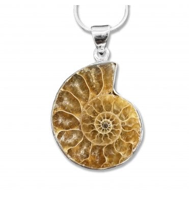 Sterling Silver Ammonite Pendant Necklace (SKU FOSSJ-089)