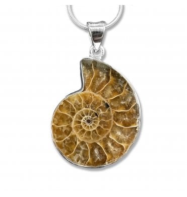 Sterling Silver Ammonite Pendant Necklace (SKU FOSSJ-090)
