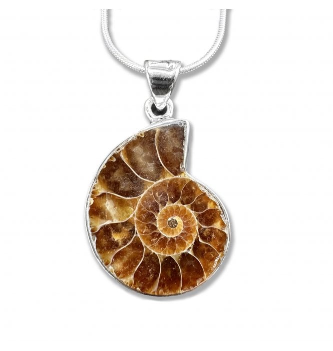 Sterling Silver Ammonite Pendant Necklace (SKU FOSSJ-091)