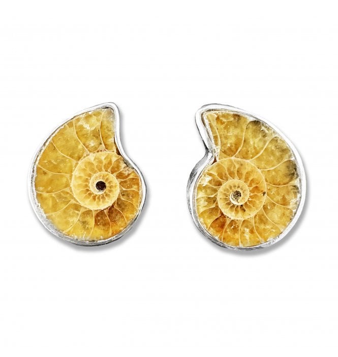 Sterling Silver Ammonite Stud Earrings (SKU FOSSJ-075)