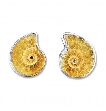 Sterling Silver Ammonite Stud Earrings (SKU FOSSJ-075)