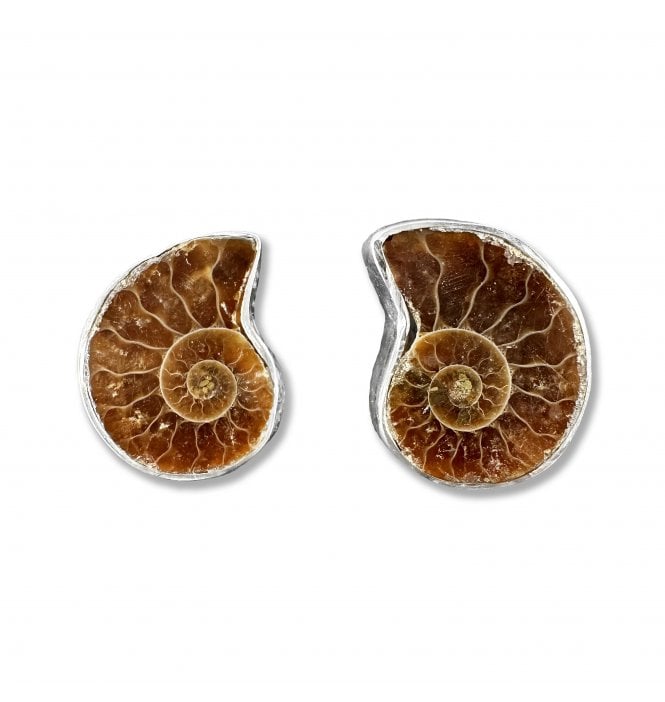 Sterling Silver Ammonite Stud Earrings (SKU FOSSJ-076)