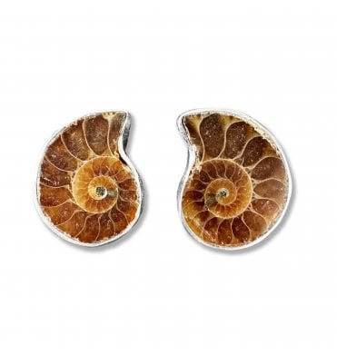 Sterling Silver Ammonite Stud Earrings (SKU FOSSJ-077)