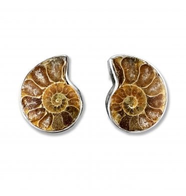 Sterling Silver Ammonite Stud Earrings (SKU FOSSJ-078)