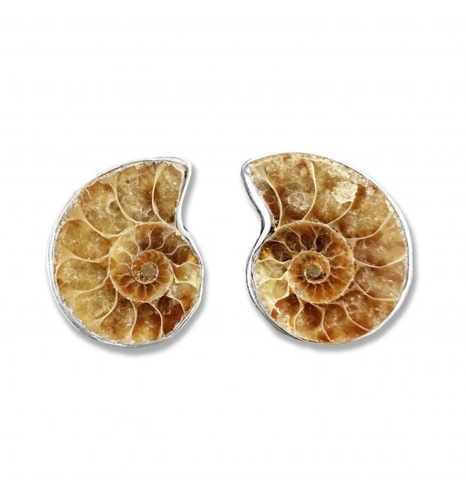Sterling Silver Ammonite Stud Earrings (SKU FOSSJ-079)