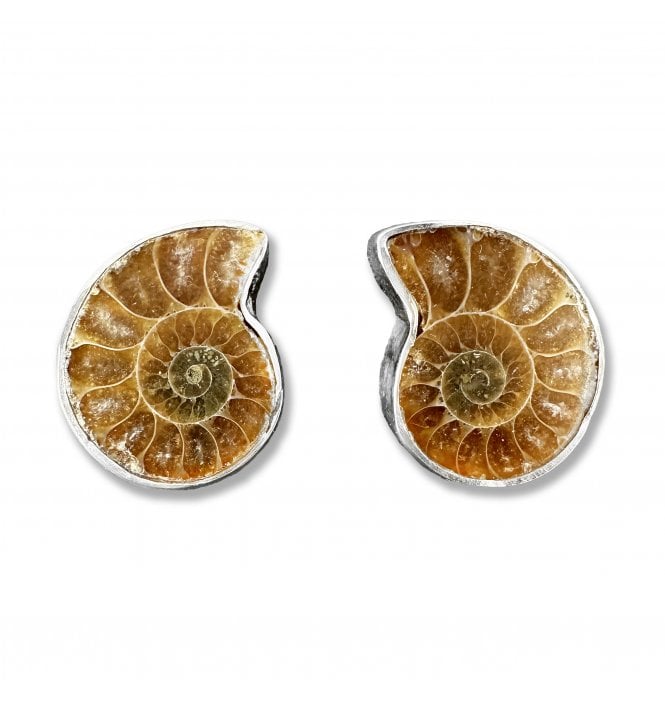 Sterling Silver Ammonite Stud Earrings (SKU FOSSJ-081)