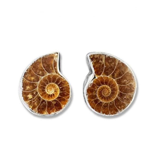 Sterling Silver Ammonite Stud Earrings (SKU FOSSJ-082)