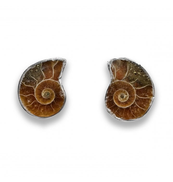 Sterling Silver Ammonite Stud Earrings (SKU FOSSJ-120)