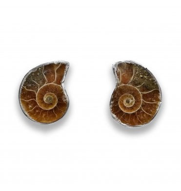 Sterling Silver Ammonite Stud Earrings (SKU FOSSJ-120)