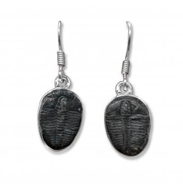 Sterling Silver Trilobite Drop Earrings (SKU FOSSJ-098)