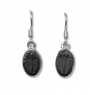 Sterling Silver Trilobite Drop Earrings (SKU FOSSJ-099)