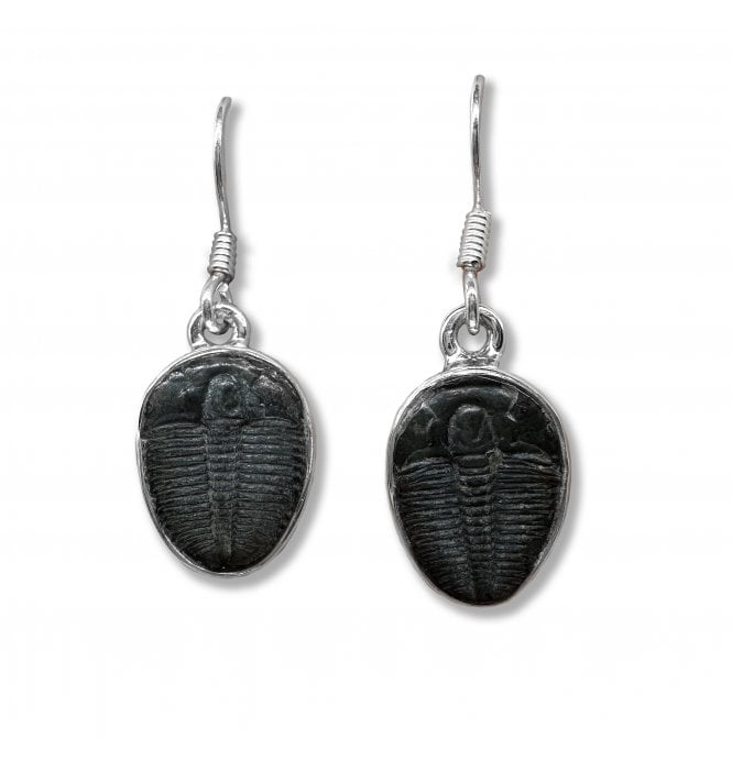 Sterling Silver Trilobite Drop Earrings (SKU FOSSJ-100)