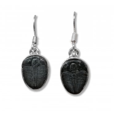 Sterling Silver Trilobite Drop Earrings (SKU FOSSJ-100)