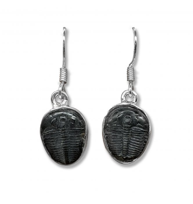 Sterling Silver Trilobite Drop Earrings (SKU FOSSJ-101)