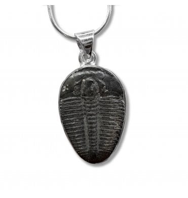 Fossil Jewellery For Sale