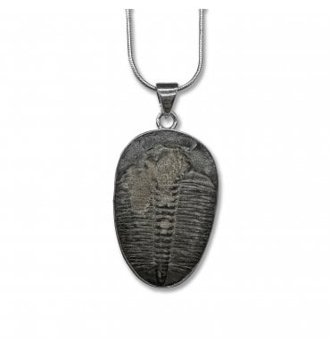 Sterling Silver Trilobite Pendant Necklace (SKU FOSSJ-116)